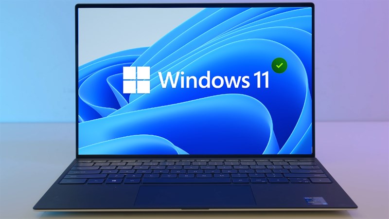 Dịch vụ cài win 11 tại nhà quận 7 (Nguồn: Internet)
